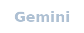 07_gemini